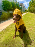 Storm Shield — Never Stop Praying Dog Rain Jacket