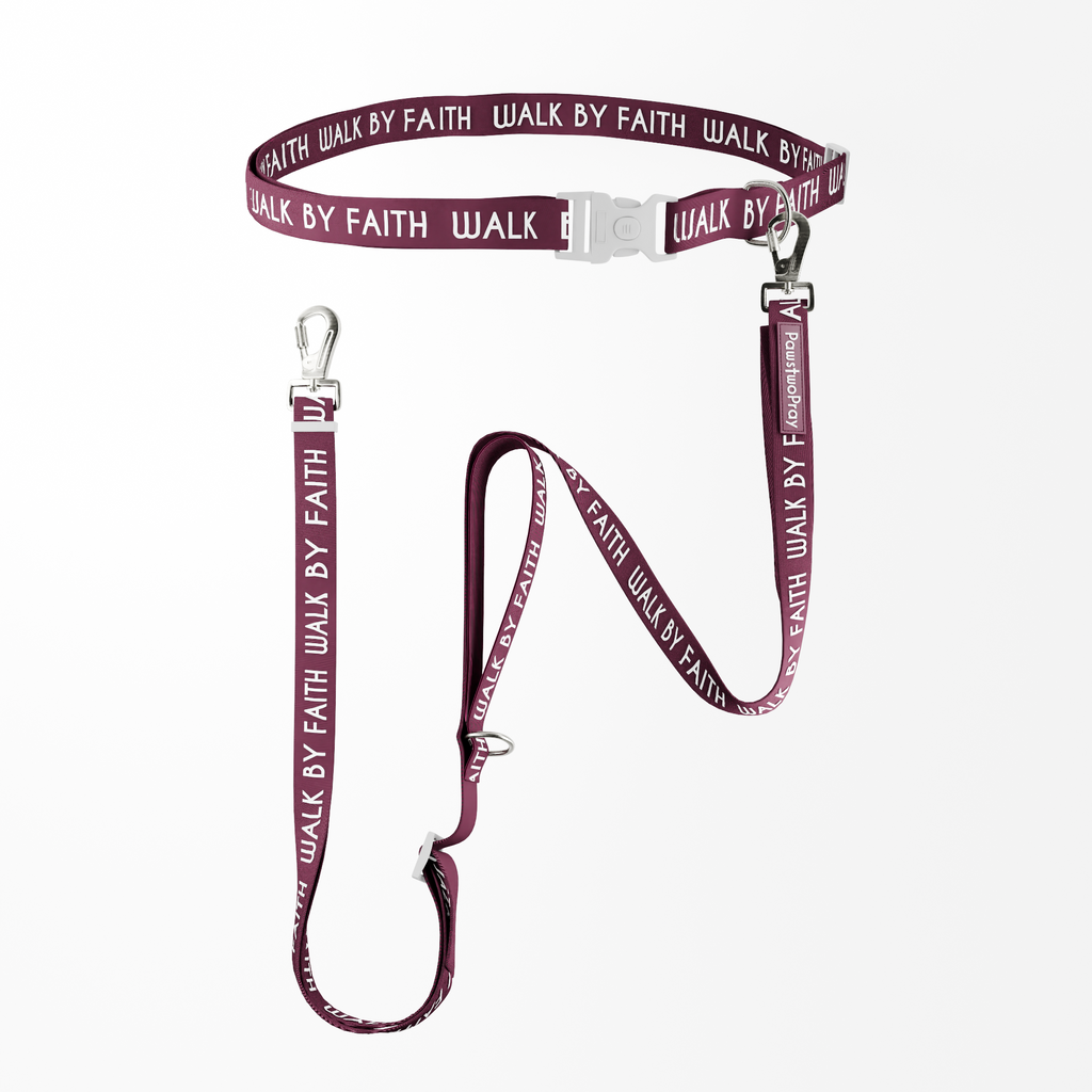 Walk by Faith Hands-Free Leash Essentials Set