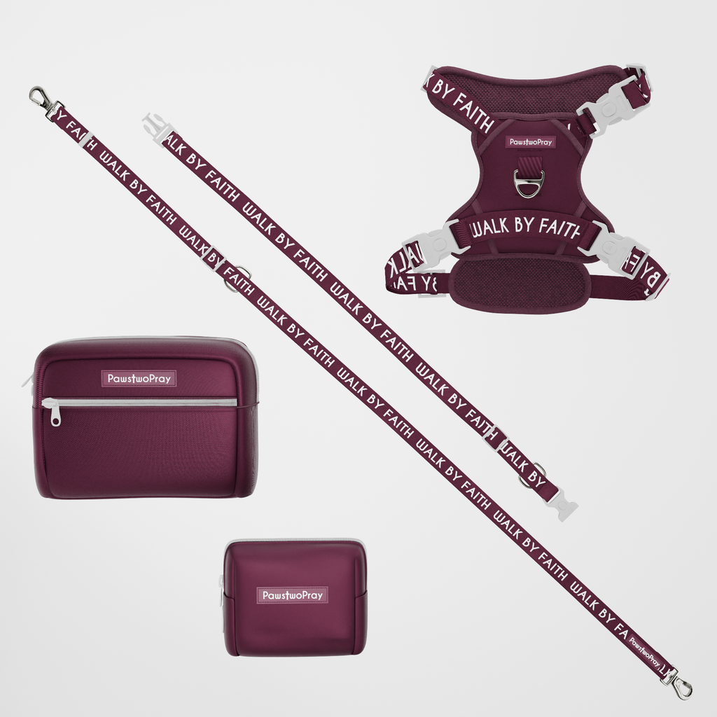 Walk by Faith Hands-Free Leash Essentials Set