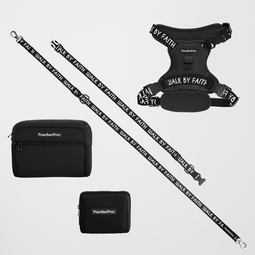 Walk by Faith Hands-Free Leash Essentials Set