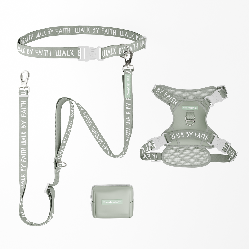 Walk by Faith Hands-Free Leash Essentials Set